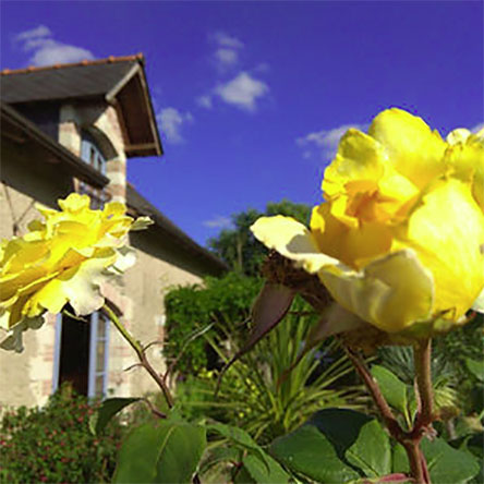 Jardin