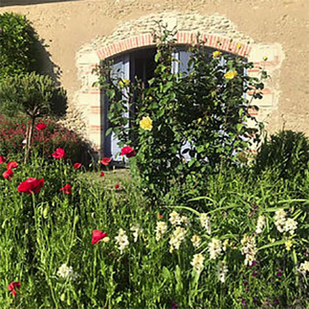 Jardin